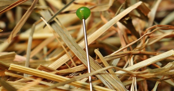 needle in a haystack