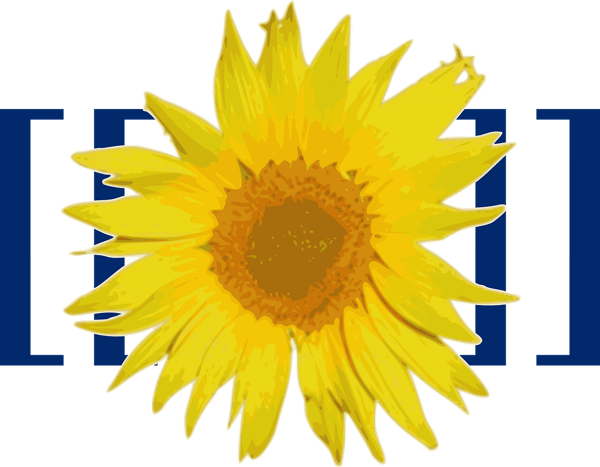 A Labour Of Love How To Build A Wiki From Scratch