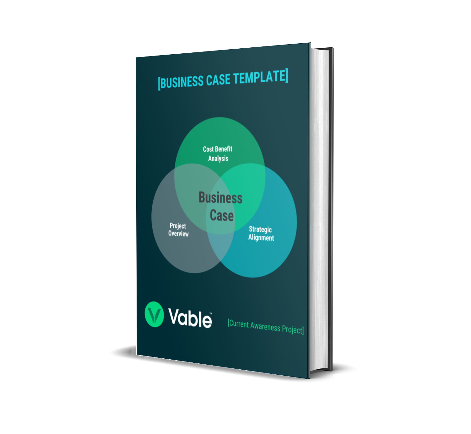 Vable Resource - Business case template v2