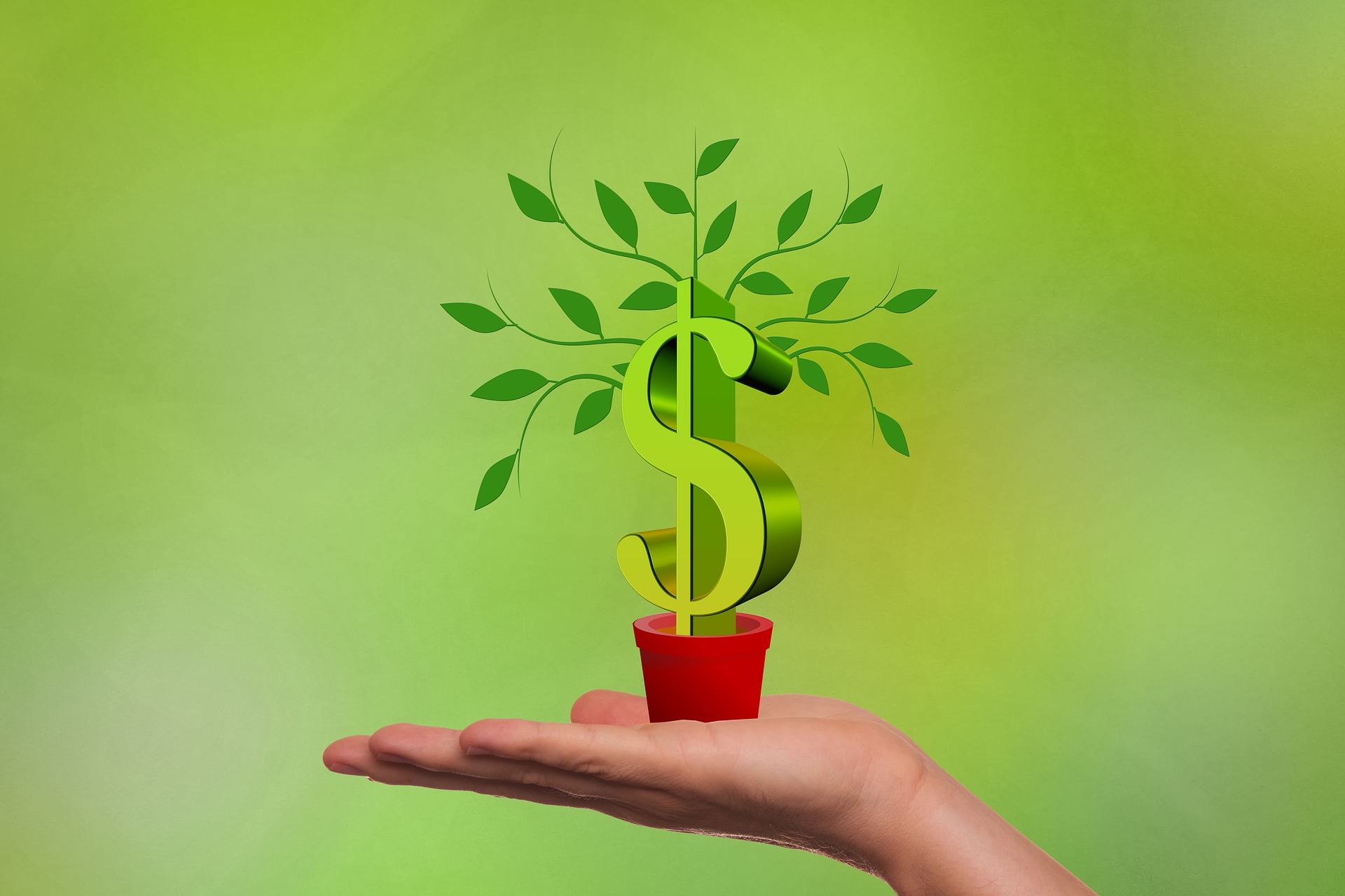 Growing an idea